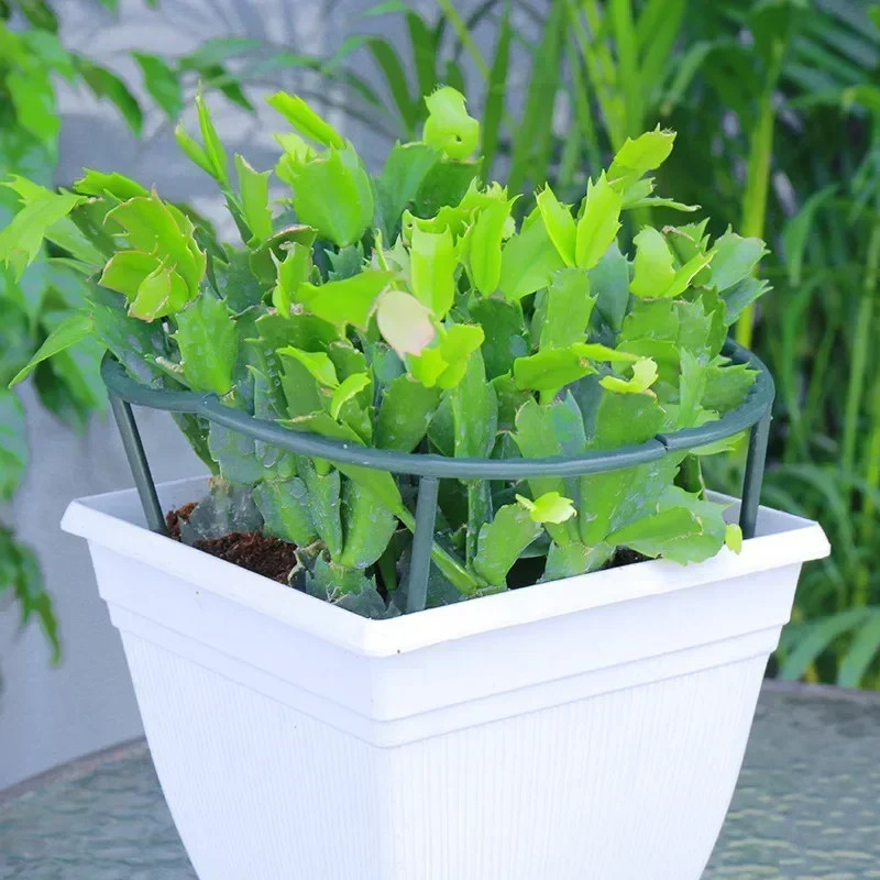 Plastic Plant Support Pile Frame Semicircle Fixed Rod Holder Gardening Arrangement Flower Climbing Bracket Bonsai Tool 2/4/6PCS plastic plant supports plant stakes plant climbing support plant stem support plant support stick plant support connector plant support racks flower stem holder