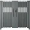 DS Modern Courtyard Door Motorized Auto Swing Front Gate Fence Door 1