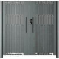 DS Modern Courtyard Door Motorized Auto Swing Front Gate Fence Door 1