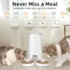 ROJECO Automatic Cat Feeder Pet Smart Cat Food Kibble Dispenser Remote Control Auto WiFi Double Feeder For Cats Dog Accessories 2