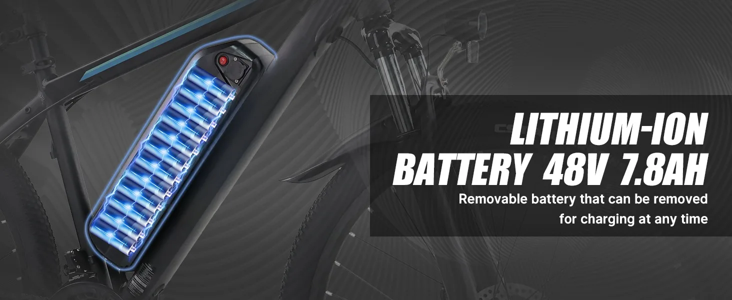 electric bike