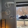 Circular Wooden Cat Wall Shelves Cat Play Furniture Sturdy Build Provide a Cozy and Trendy Spot for Cats to Lounge and Explore 2
