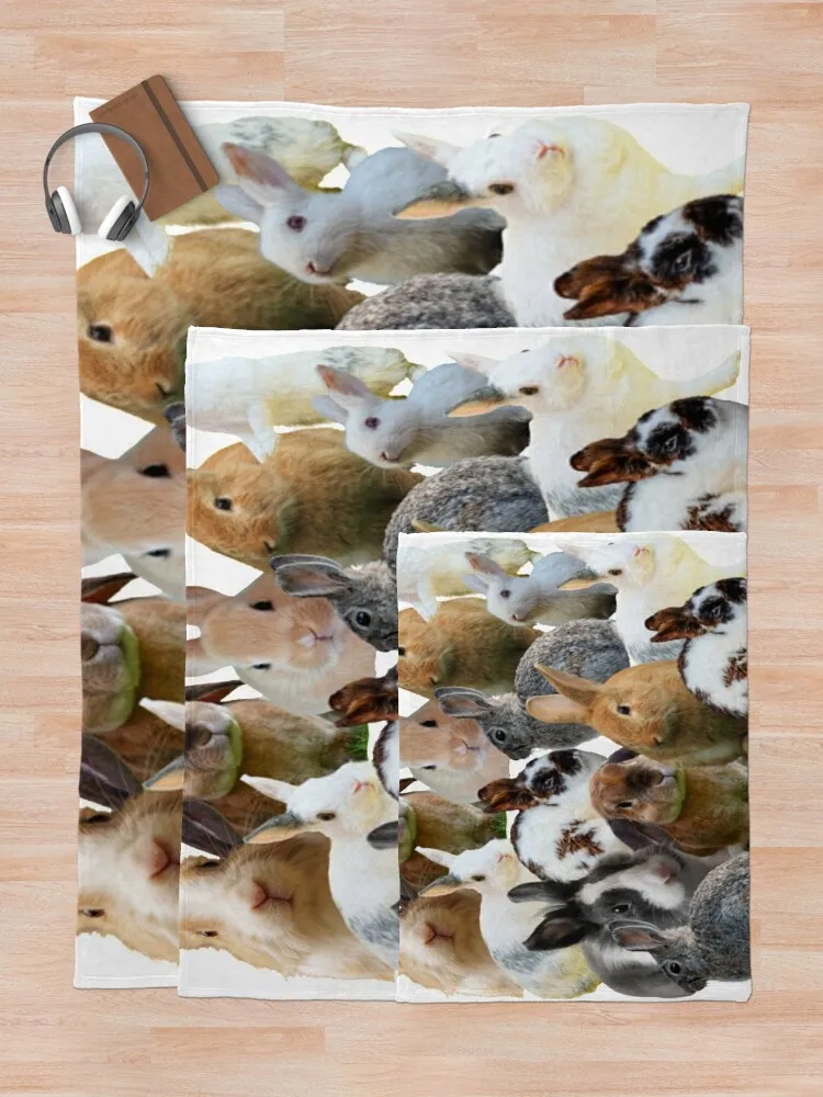 �Ϳ��� �䳢/�䳢 ���