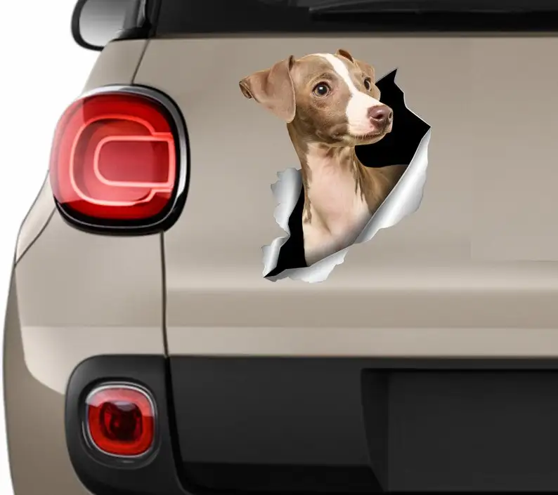 

Greyhound car decal Car sticker Italian Greyhound stickers Dogs sticker Auto stickers Greyhound sticker Greyhound decals Greyhou