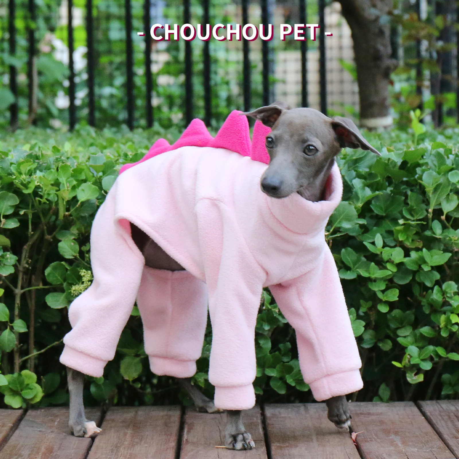 Adorable polar fleece italian greyhound dinosaur costume iggy