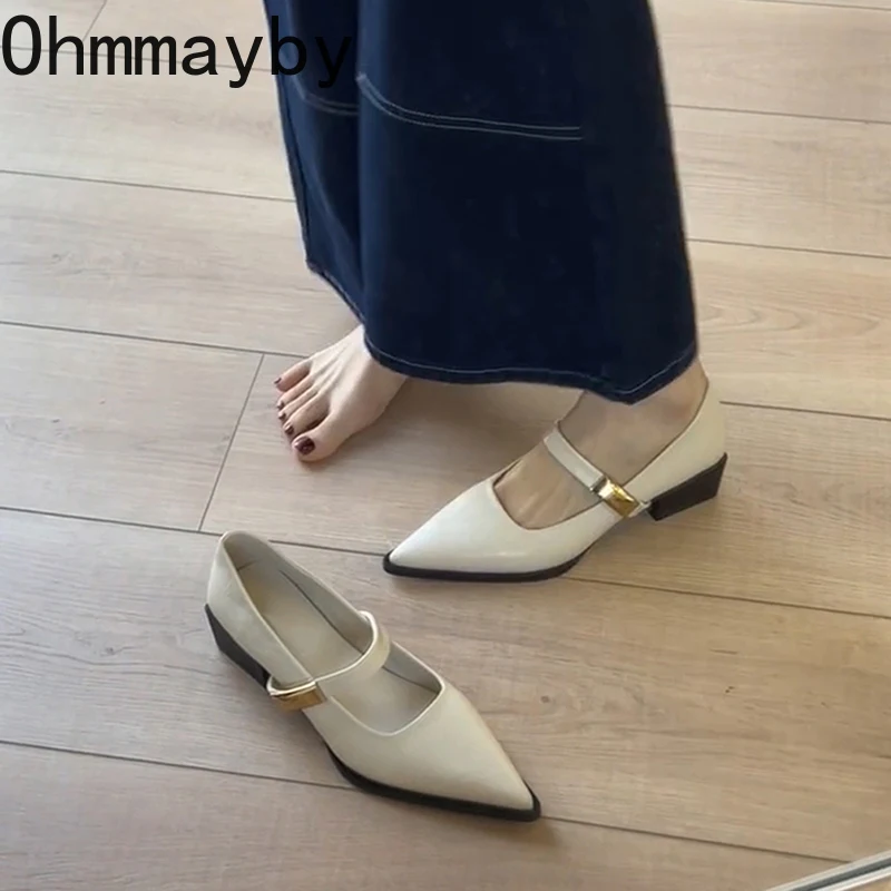 Pointed Toe Low Heel Women Mary Jane Shoes Fashion Shallow Buckle Shoes Ladies Elegant Dress Street Style Shoes 4