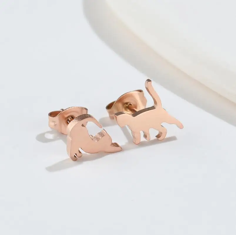 Earrings Display