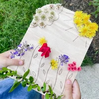 Wooden Flower Stand Spring Outdoor Exploration Of Nature Game Baby Parent-Child Interactive Toys Durable Easy Install (Round) 2