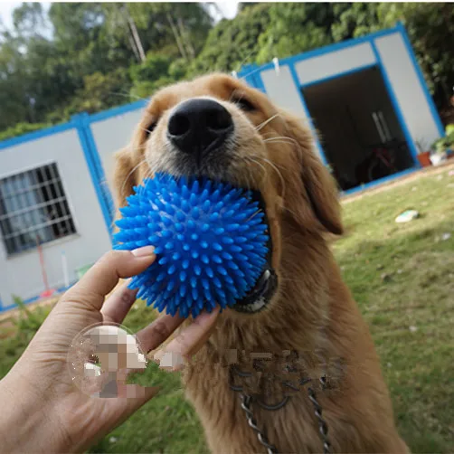 

Dog Teeth Chewing Thorn Balls Pet TPR Soft Burr Elastic Ball Dog Bite Sounding Outdoor Training Interactive Chew Toy