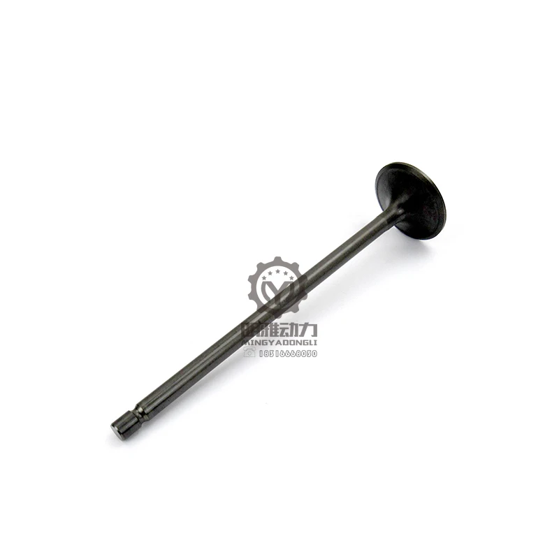 C4.2 C6.4 Engine Intake Valve Excavator Parts For Carter 312D 313D 315D 319D 320D 323D