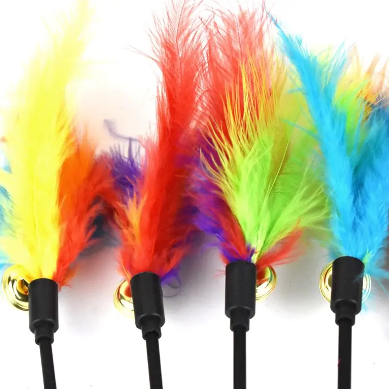 

Toy Wand Interactive Teaser Wand with and Pet Wand Interactive Toy for Cat Indoor Outdoor