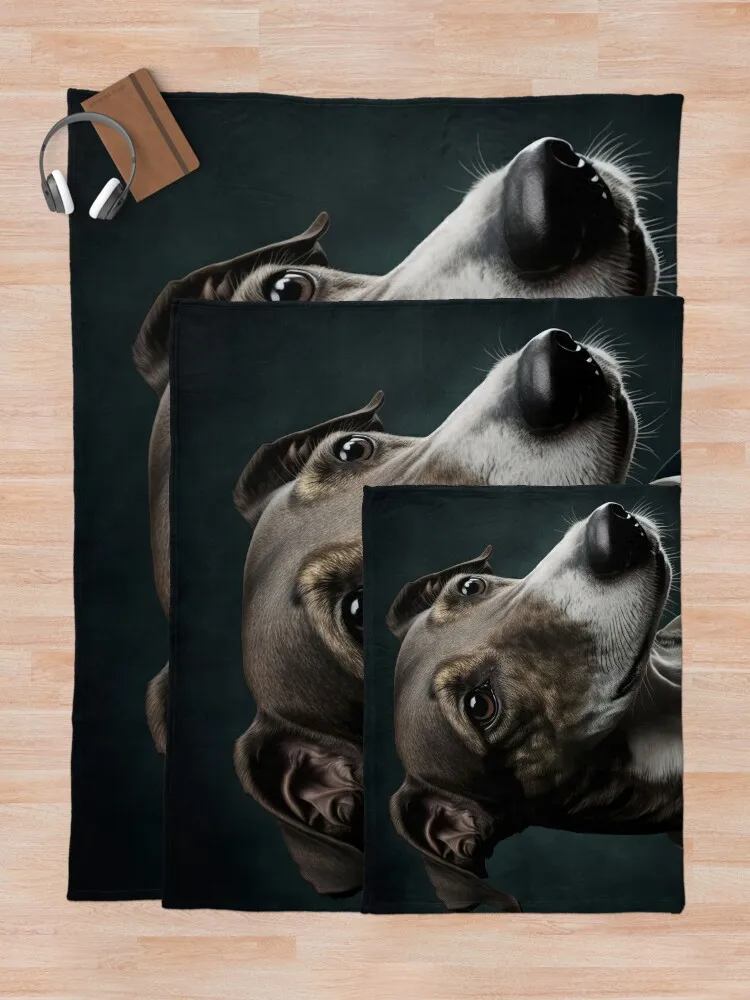 �׷����Ͽ�� ������ ����� �ʻ�ȭ, �����̳� ���� ħ��, �ܿ� ħ��, �����̴� ���