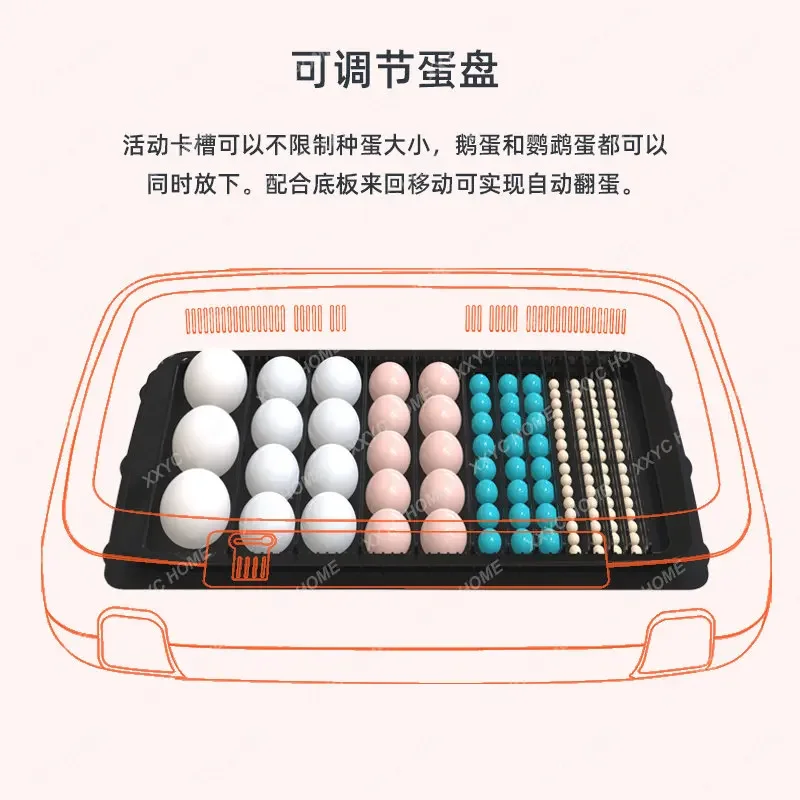 Incubator Automatic Household Small Egg Incubator Parrot Egg Intelligent Controllable Temperature Control Wet
