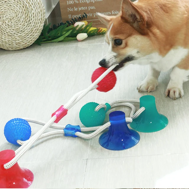 4 Safe Dog Toys and 4 to Avoid!