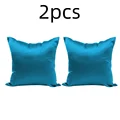 Blue 2pcs