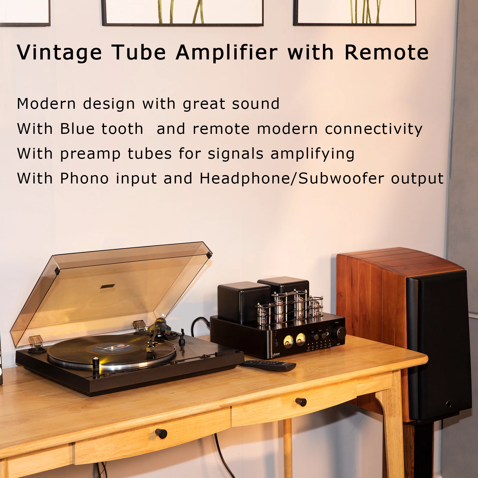 Juson Audio JTA50 Hifi Tube Amplifier BT Combined with Paiyon HIFI