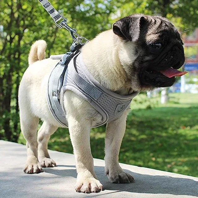 Vest Harness Leash Adjustable Mesh Vest Dog Harness Collar Chest Strap Leash Harnesses With Traction Rope XS/S/M/L/XL 3