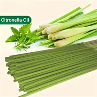 Extended Burning Time Lemongrass Oil Lemongrass Stick - 45 Minutes Burn Time, Artificial Wood Summer Scent, Suitable for Home, Camping, Yard, Pool and Outdoor Activities - Air Purification and Relaxation, Holiday Decoration (Halloween/Christmas/Easter/Thanksgiving) 6