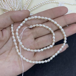 Elegant Natural Freshwater Pearl Rice Beads for DIY Jewelry and Handicrafts - 36cm Strand (3 - 4mm)