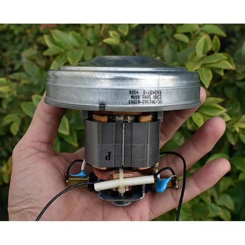 220V 600W Staubsauger Motor DIY Staub Collector Turbo Fan Doppel Kugellager  High Speed Motor - AliExpress