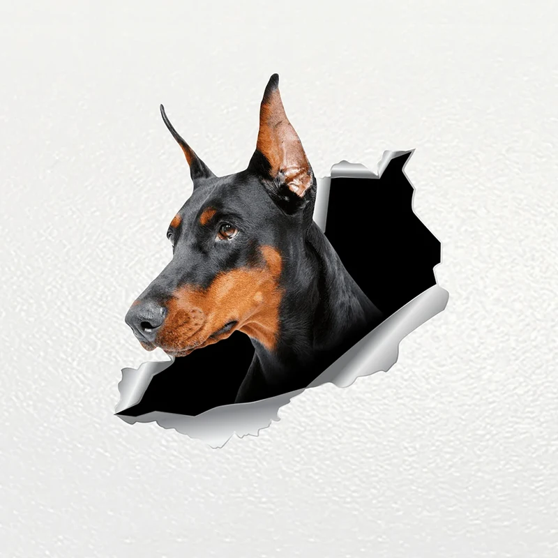 

V1059# Car Sticker Doberman Dog Pet Animal Waterproof Vinyl Decal Car Accessories Decor Pegatinas Para Coche