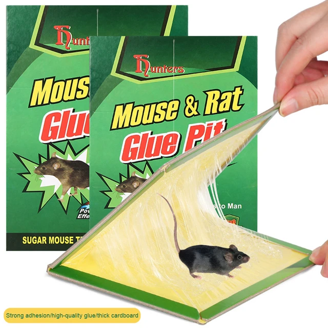 Piège à souris collant non toxique, pièges antiparasitaires, piège à rats,  araignées, insectes, longue durée, prêt à l'emploi, intérieur, extérieur -  AliExpress