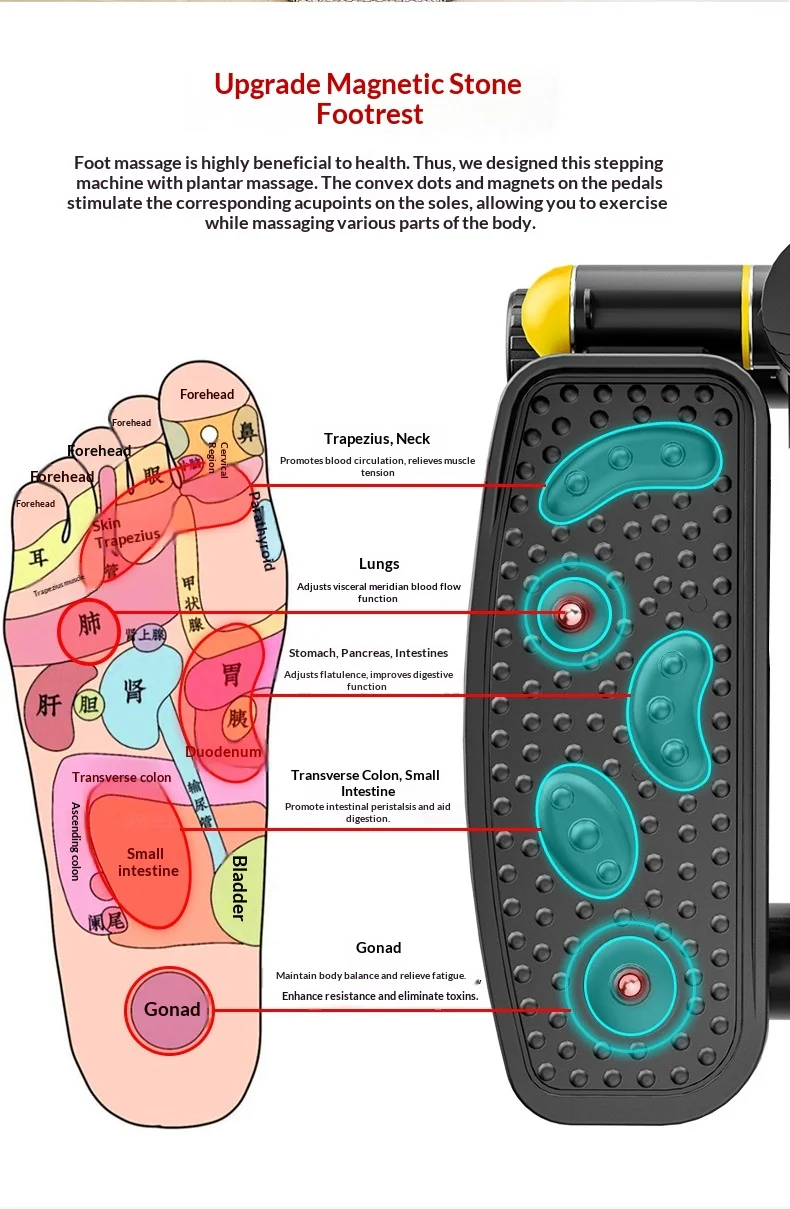 Scf449d6b578b450b9d8bed4bd8ddf7a3t