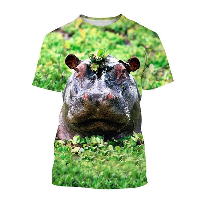 

Funny Hippo Fitness Graphic T Shirts Animal Hippopotamus Sports 3D Printed T-Shirt Casual T Shirt For Men Streetwear Women Tops