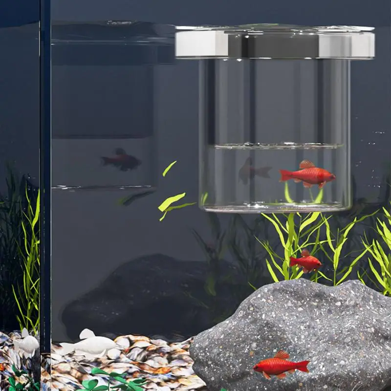 Aquarium Fish Breeder Box - Baby Fish & Shrimp Isolation Tank With Holes  For Betta, Guppy, & Livebearers
