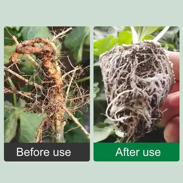 Gyökérnövekedési Hormonok Gyökerező Dugványokhoz Folyékony Nagyteljesítményű Szerves Növények 50 Ml Transzplantációk Zöldség - Image 4