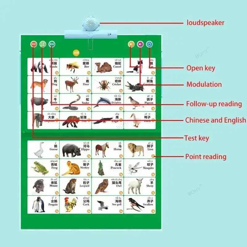 子供向けの英語言語学習機,読書,オーディオポイント,幼児教育