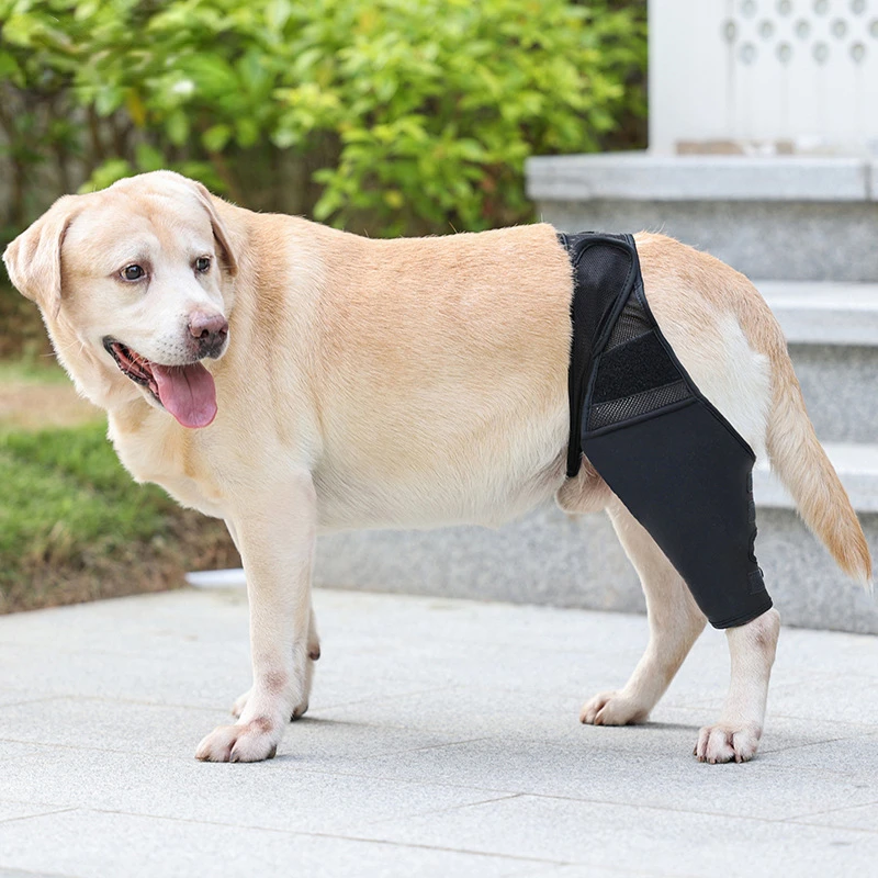 Pet Leg Injury Fixed Protective Gear Disabled Dog Leg Auxiliary Belt Small and Medium-sized Dog Postoperative Protective Cover