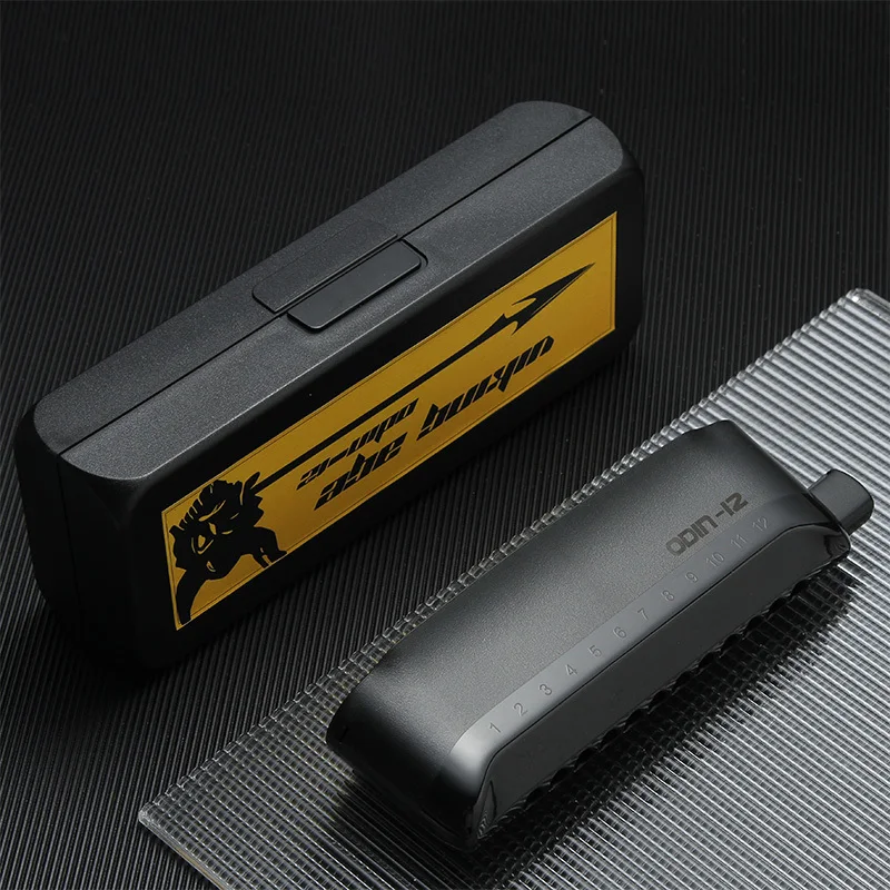 Viking Age Odin 12-Holes Easy Quick Disassemble Chromiatic Harmonica