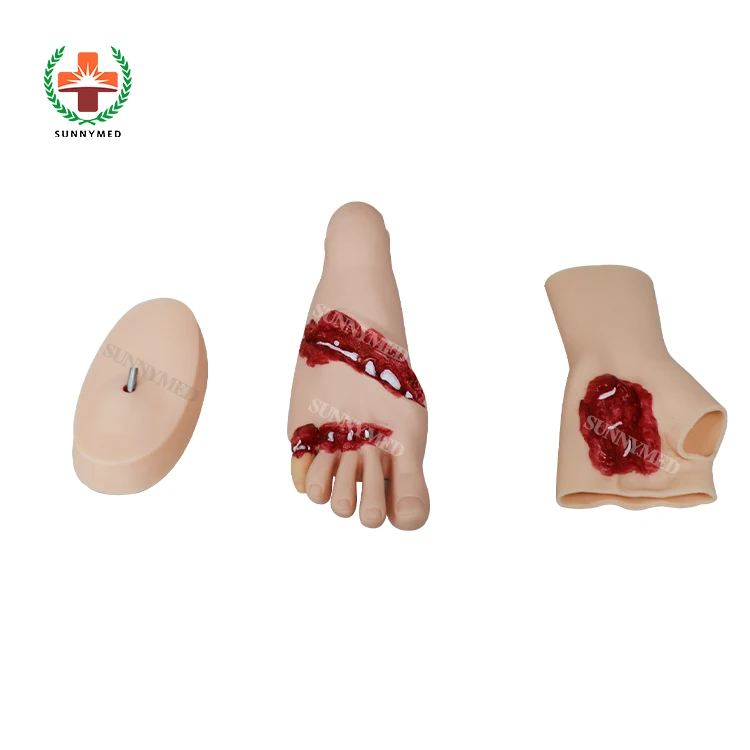 

SUNNYMED SY-N043 High Quality Trauma Caring Evaluation Modules Nursing Manikin Model