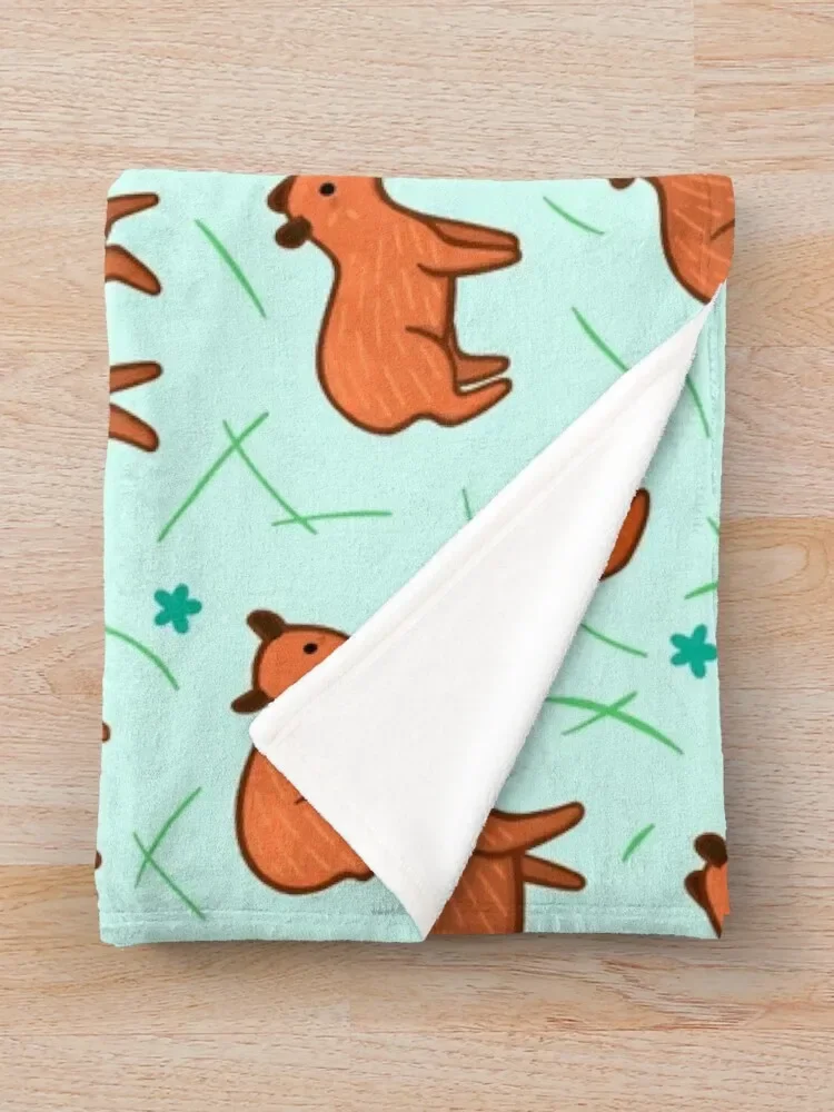 �� Capybara ���� ������ ���, ħ�� ũ�� ǫ���� �ε巯�� ���