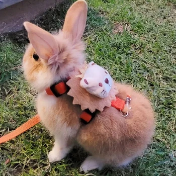 Rabbit & Guinea Pig Harness Leash Set 3
