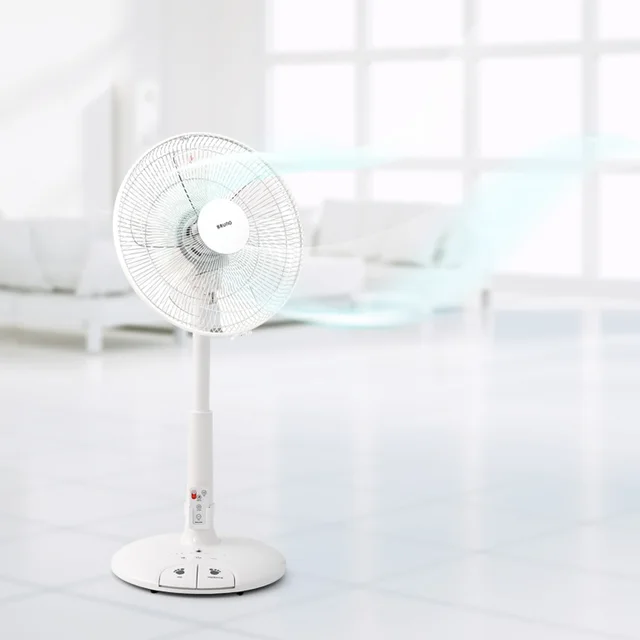 5엽선풍기