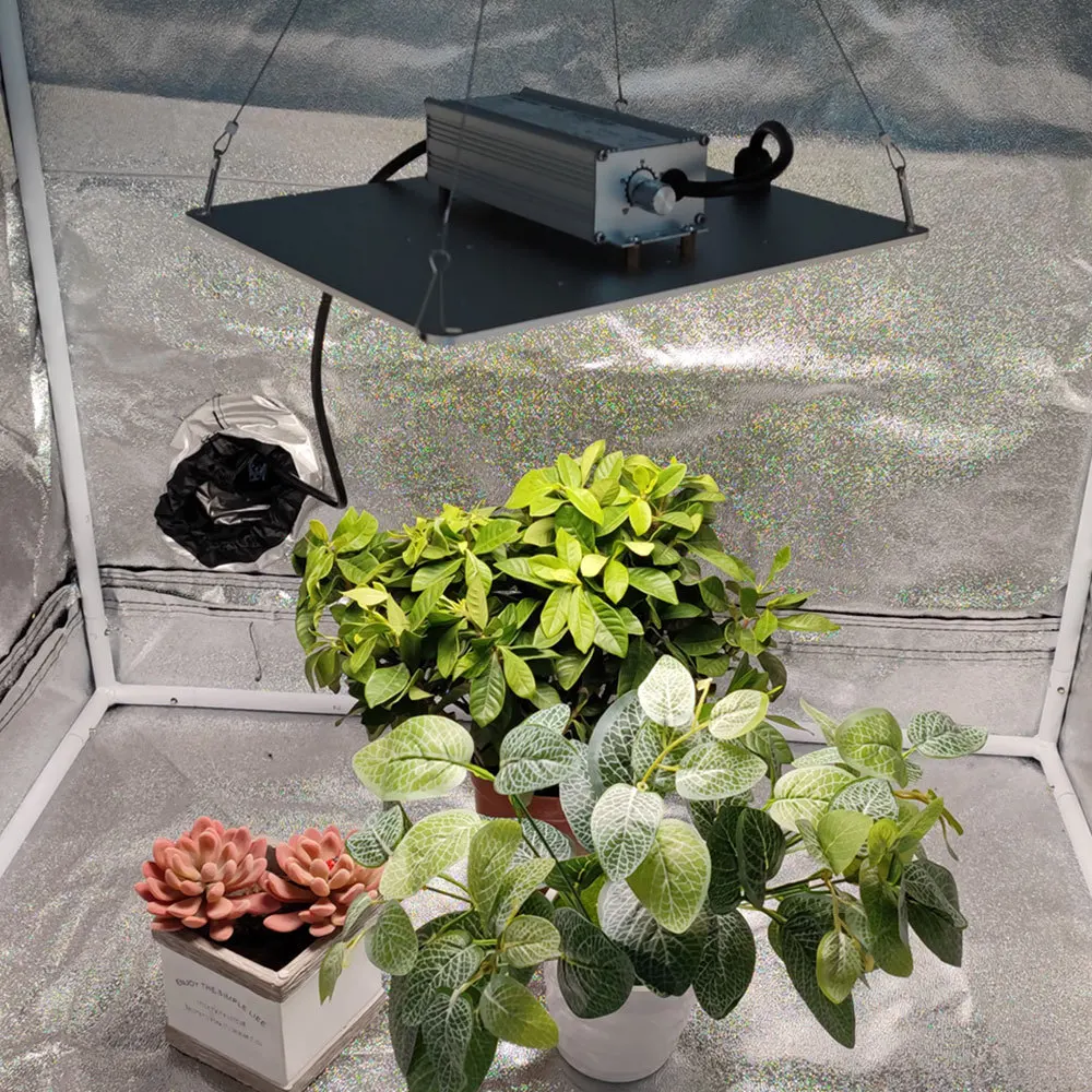 Full Spectrum LED Grow Light Quantum Board EU Plug Indoor Veg Bloom Phytolamp Greenhouse Flower Succulent led grow light grow light