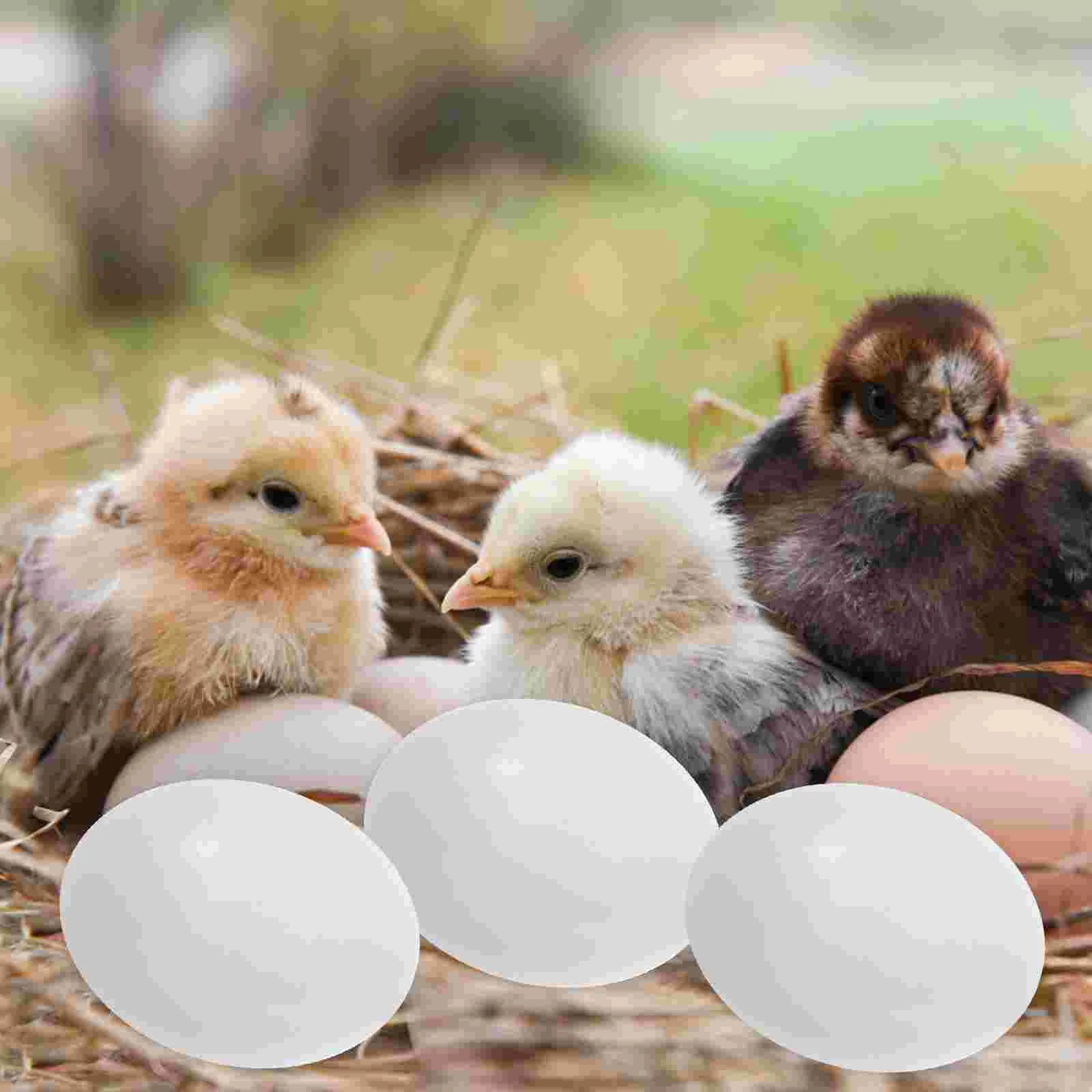    ΰ ¥ Propplastic    Ʒ ҳ Teether   ȭ   ùķ̼