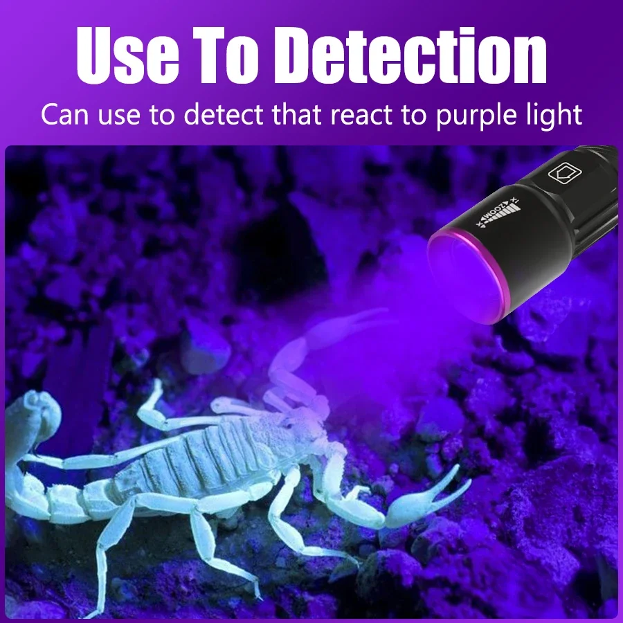 Portable UV Flashlight UV395NM Zoomable ABS Torch...