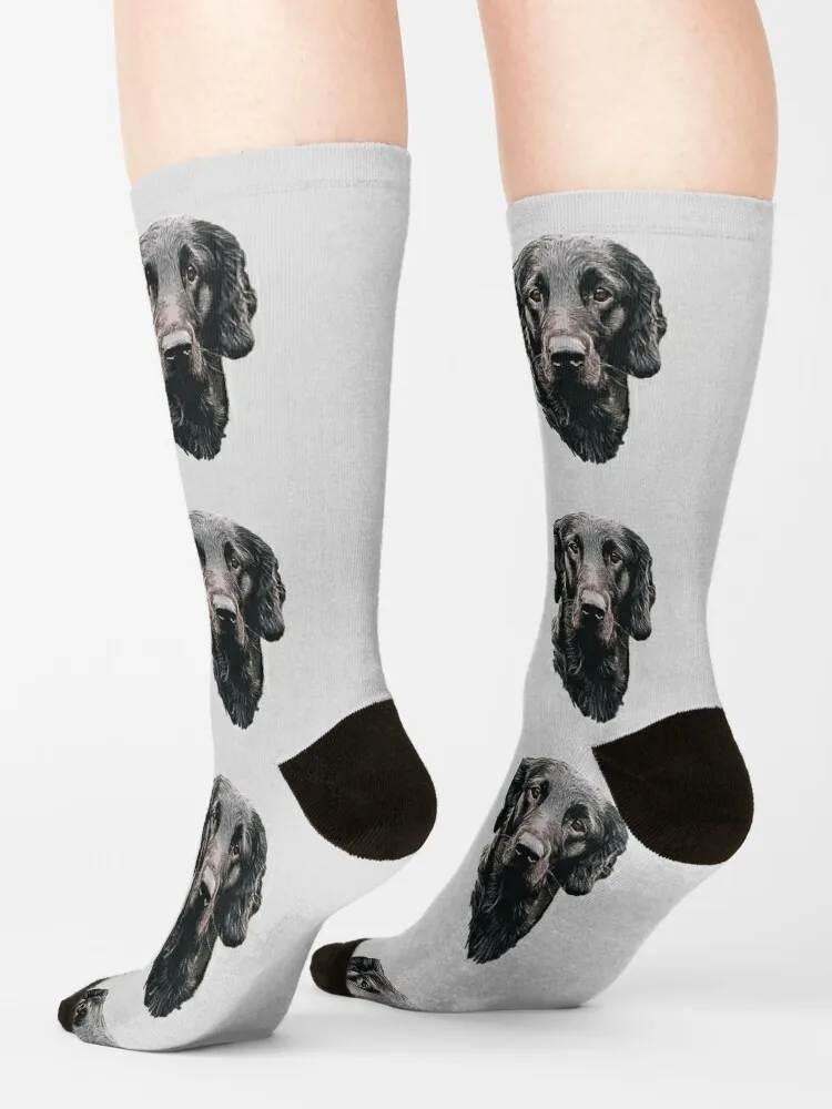 Flat Coated Retriever - Stunning Dog! Socks hiphop Running socks Cartoon characters socks japanese fashion Socks Man Women's