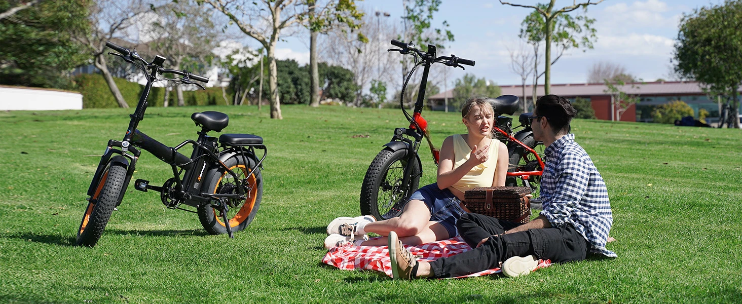 electric bike for adults