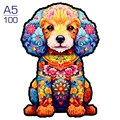 GOU-48-A5