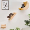 Cat Shelf Wall Hammock Climbing Shelves Moon Shaped And Perches Ladder Solid Wood Steps For Activity Indoor Cats Wall Furniture 1