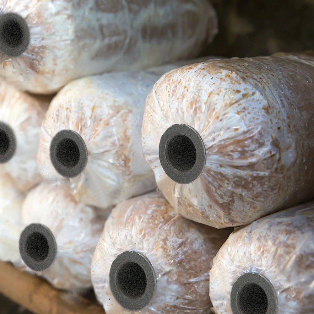 Greenhouses Reusable Inoculation Sticks for Mushroom Plastic Convex Edge Mushroom Punch Pole Cultivation Tools Edible Fungi Inoc