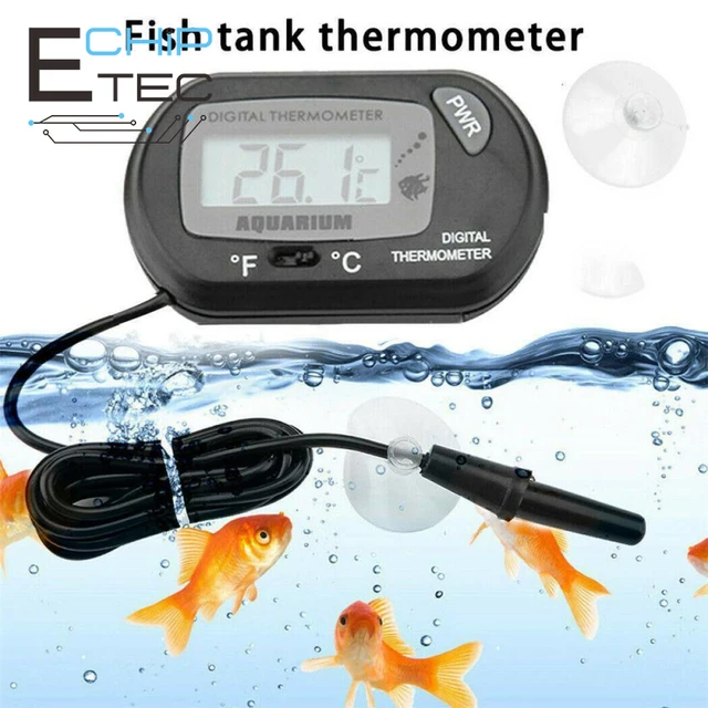 Reptile Tank Thermometer Hygrometer Monitor Temperature and Humidity in Vivarium  Terrarium - AliExpress