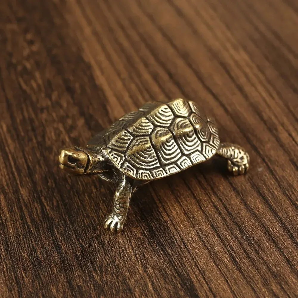 Crocodile turtle distressed
