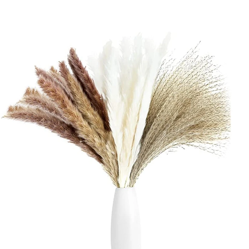 Natural Dried Pampas Grass Decor17.5in 65pcs Pampas Grass For Flower