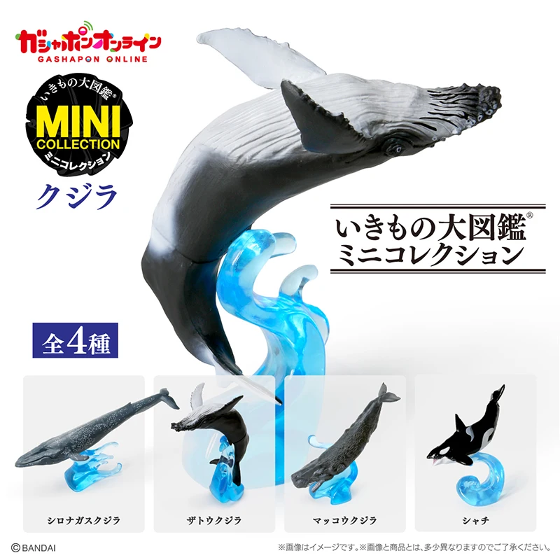 

Gashapon Capsule Toys Cetacea Simulation Miniature Sea Creature Beluga Whale Action Figures Model Toy Colletcion Ornaments