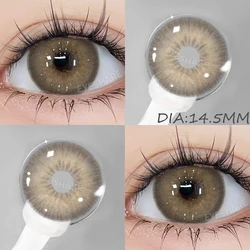 EYESHARE Brown Color Contact Lenses - Natural & Vibrant, Yearly Wear (HOLLAND - BROWN)